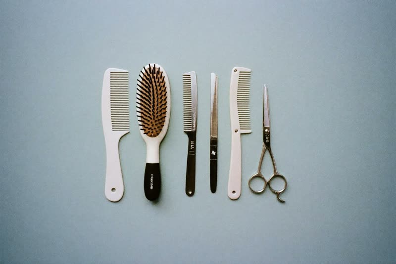 Clean grooming tools laid out on a plain pastel surface